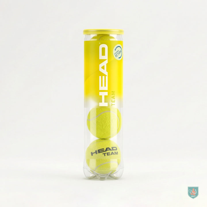 4pcs HEAD TEAM Professional Training Tennis Balls